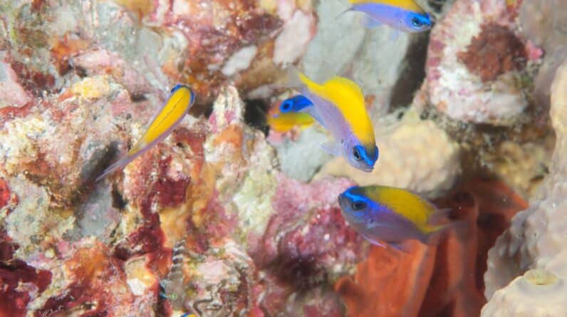 Photo Testing Environment