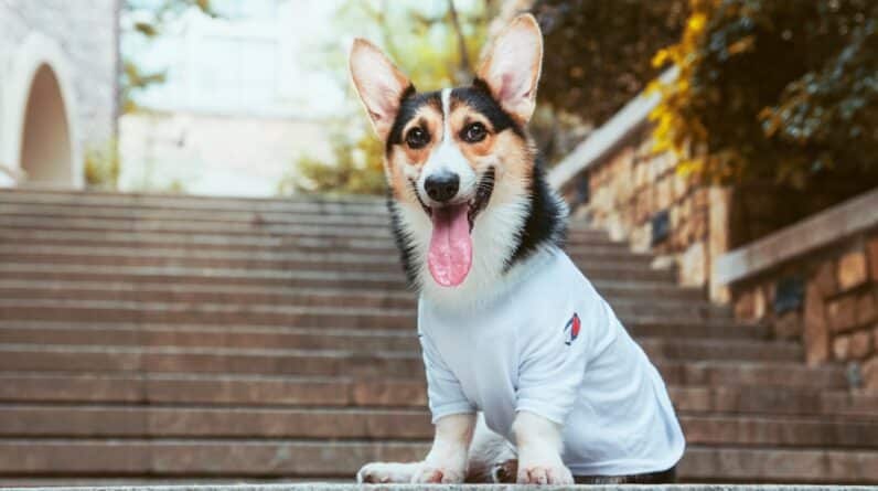 Photo Backup Frequency: Crucial Recovery: Step-by-Step