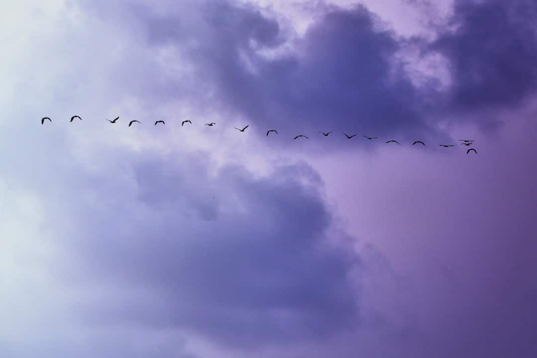 Photo Cloud migration