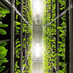 Photo Server farm