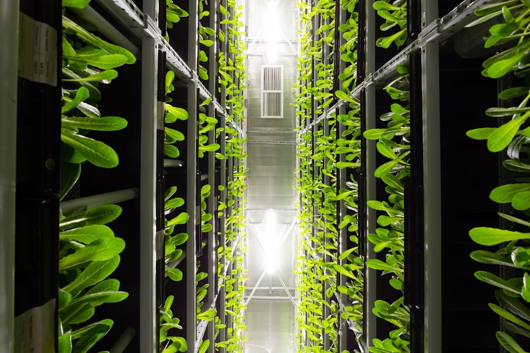 Photo Server farm