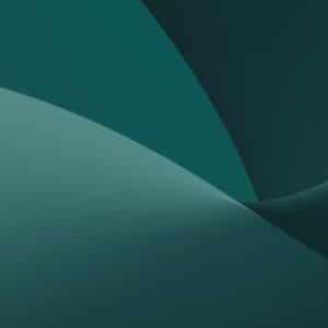 Photo Green Website Hosting