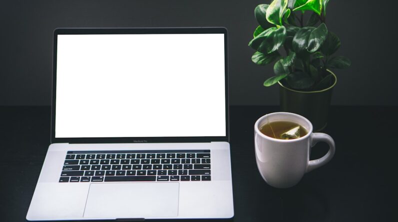 Photo Website Hosting and Seo