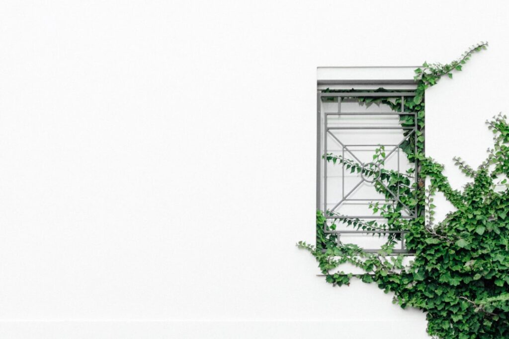 Sustainable Web Hosting Practices: Reducing Environmental Impact 1 Photo Sustainable Web Hosting Practices