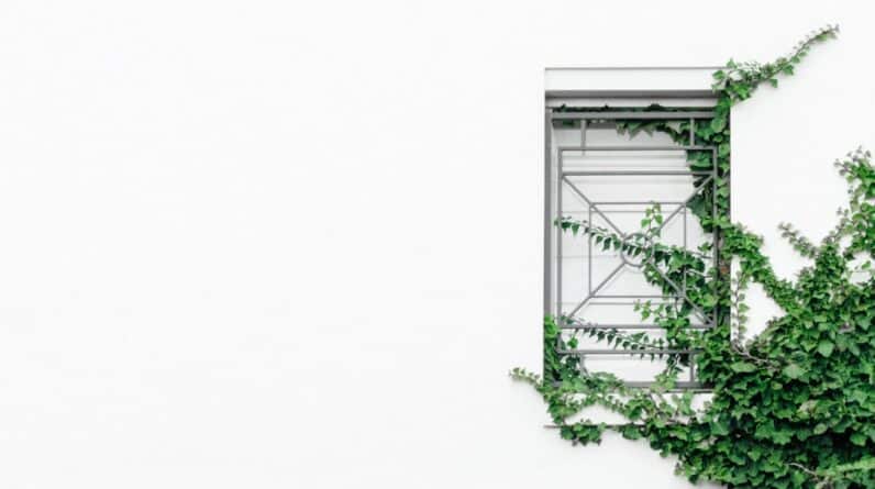 Photo Sustainable Web Hosting Practices