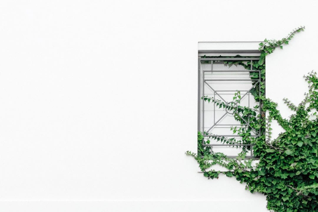 Photo Sustainable Web Hosting Practices