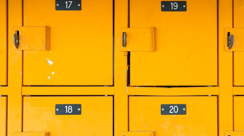 Photo Assess Hosting Needs Nonprofit Organization Affordable Solution