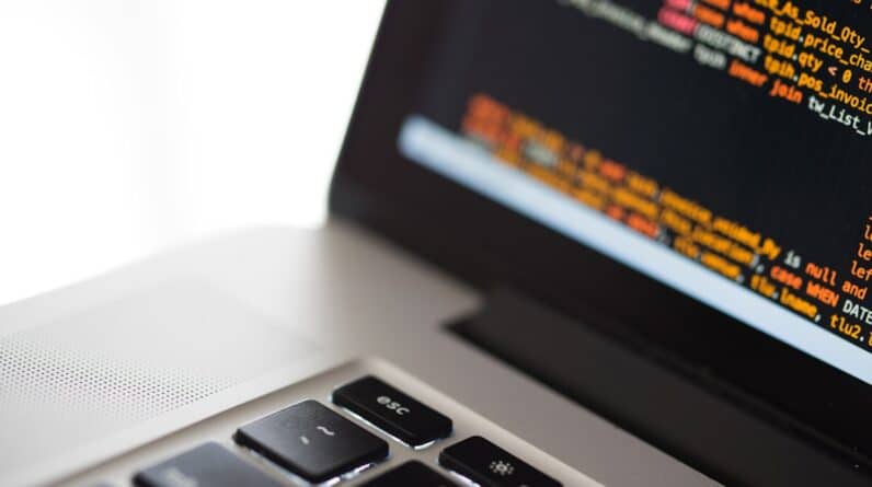 Photo Web Hosting Terms