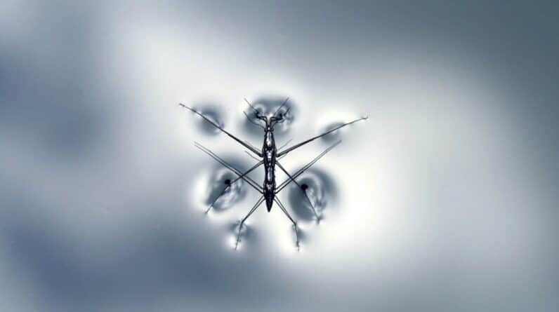 Photo Migrate Website