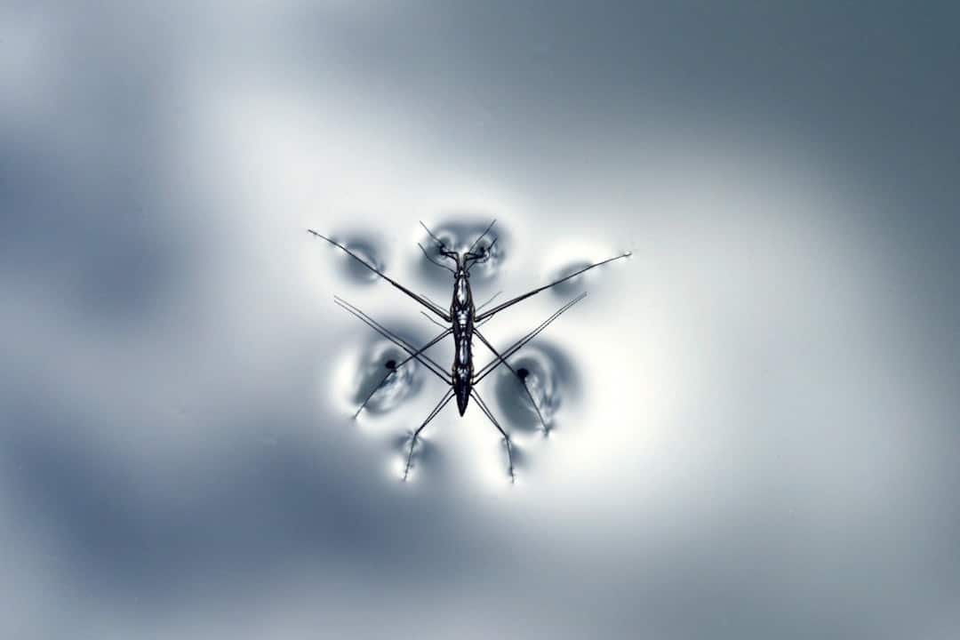 Photo Migrate Website